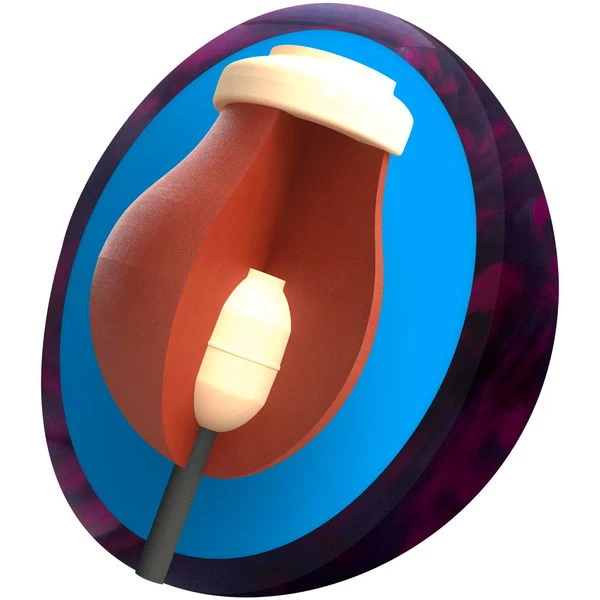 Columbia 300 Cuda PowerCOR Pearl 2 Columbia 300 Cuda PowerCOR Pearl - Image 2